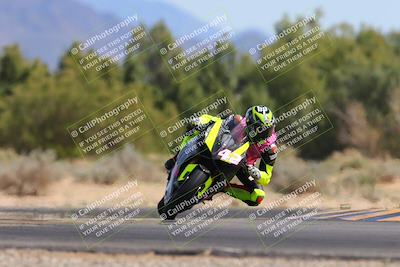 media/Mar-10-2024-SoCal Trackdays (Sun) [[6228d7c590]]/11-Turn 7 (130pm)/